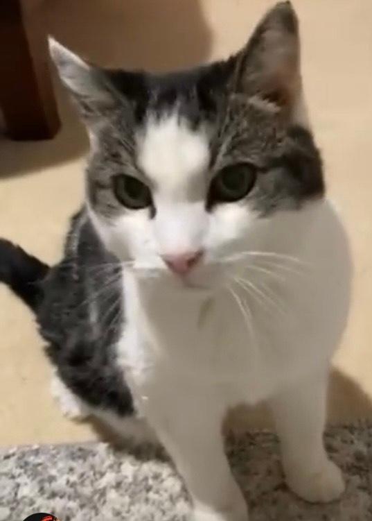 Chloe